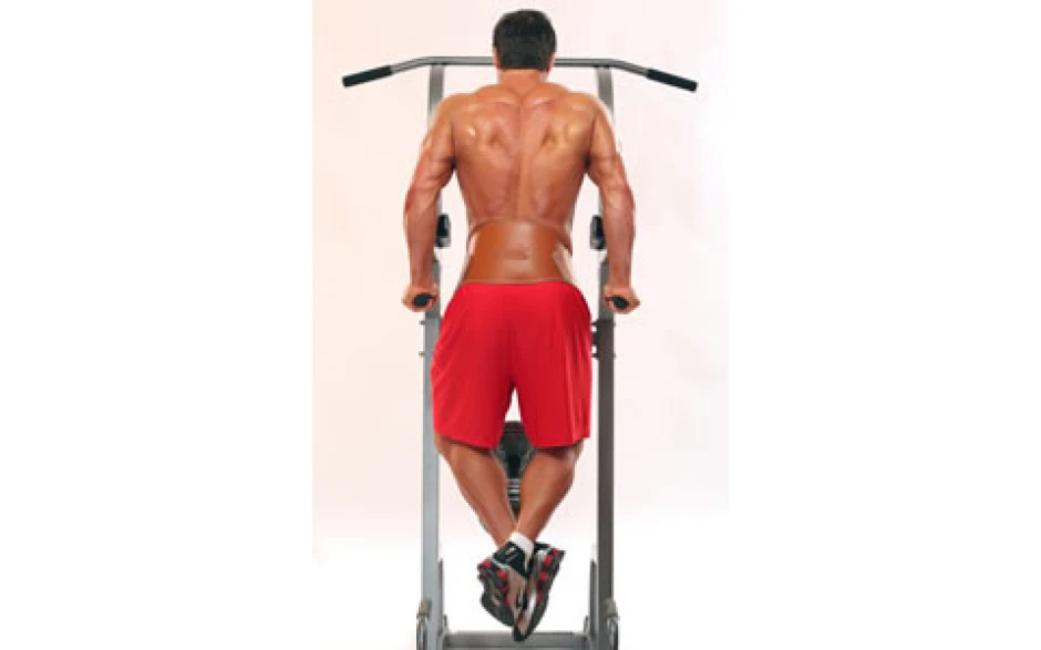 Schiek Sports Dip Gürtel Modell 5008 4 Schiek Sports Dip Gürtel Modell 5008 – Bild 2