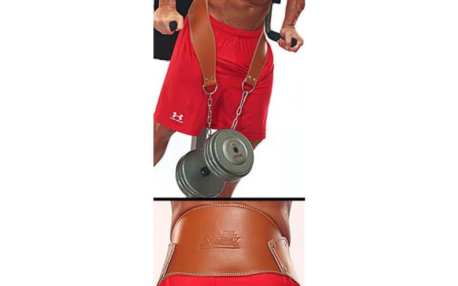 Schiek Sports Dip Gürtel Modell 5008 5 Schiek Sports Dip Gürtel Modell 5008 – Bild 3