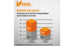 Engel Nutrition 100% Pure Creatine Caps - 400 Kapseln -Sport Verkauf engel nutrition creatin caps wirkung von creatin 1