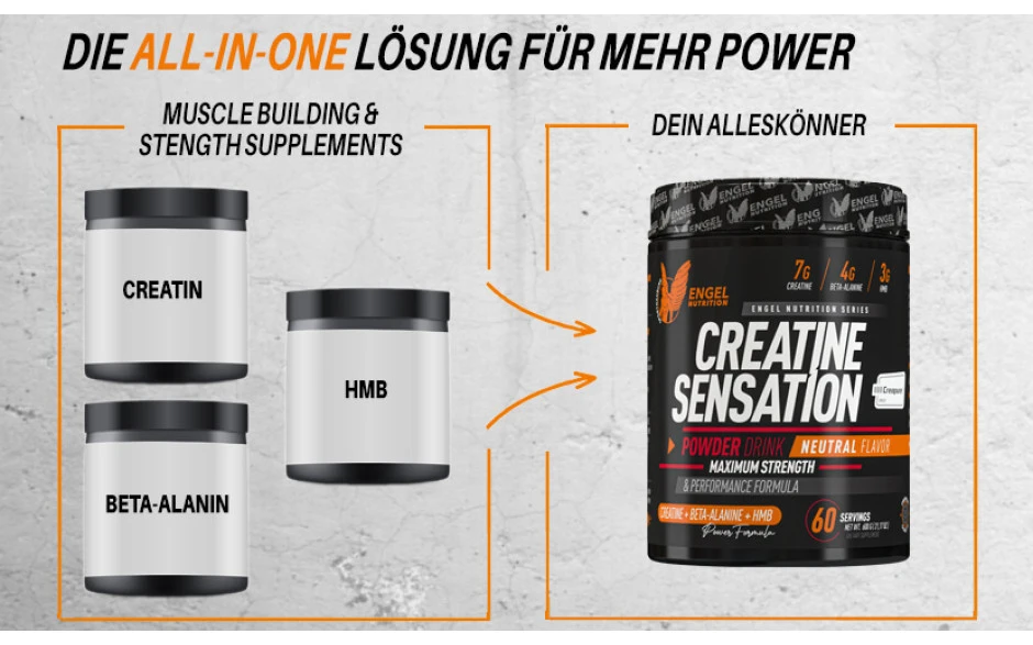 Engel Nutrition Creatine Sensation Powder - 600g 4 Engel Nutrition Creatine Sensation Powder - 600g – Bild 2