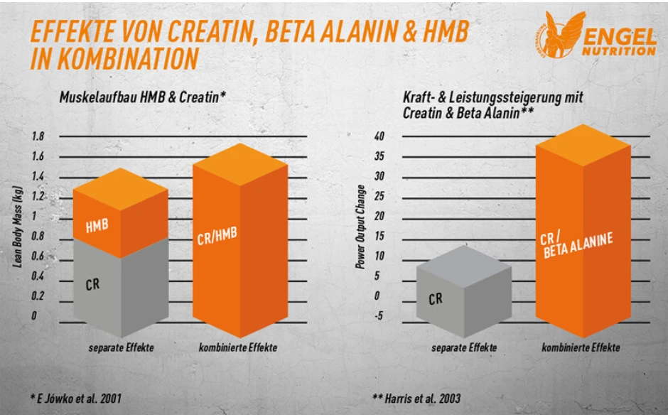 Engel Nutrition Creatine Sensation Powder - 600g 5 Engel Nutrition Creatine Sensation Powder - 600g – Bild 3